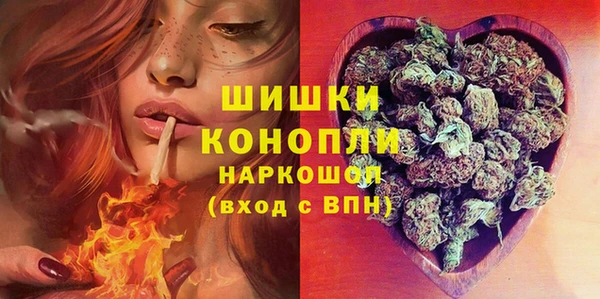 2c-b Каменка