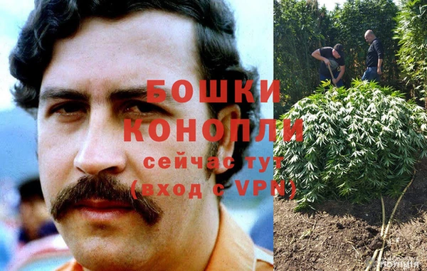 ALPHA PVP Каменногорск
