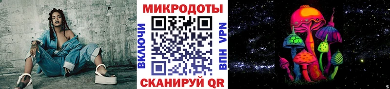 Купить где  Далматово  Галлюциногенные грибы Psilocybe 