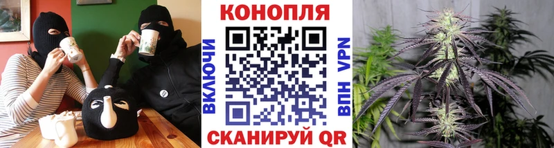 Бошки марихуана OG Kush Далматово